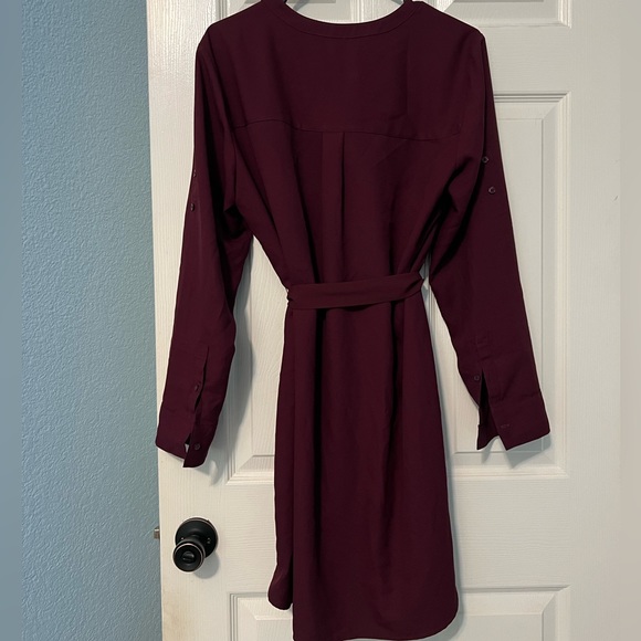 Express Maroon Dress - Picture 3 of 5